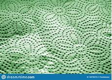 Towel Surface