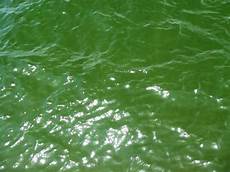 Water 1 Lt