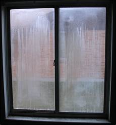 Window Seal