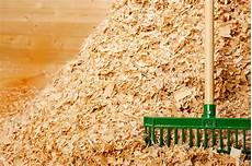 Wood Shavings Mac